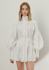 Astible Button-Down Long-Sleeve Mini Dress