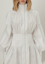 Astible Button-Down Long-Sleeve Mini Dress