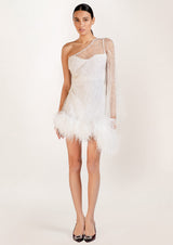 Izabella Asymmetric Crystal Feathered Mini Dress