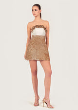Rose Appliqué Mini Dress