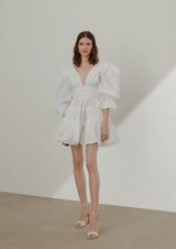 Gardenia Ruffled Mini Dress