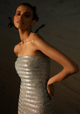Strapless Fitted Maxi Dress