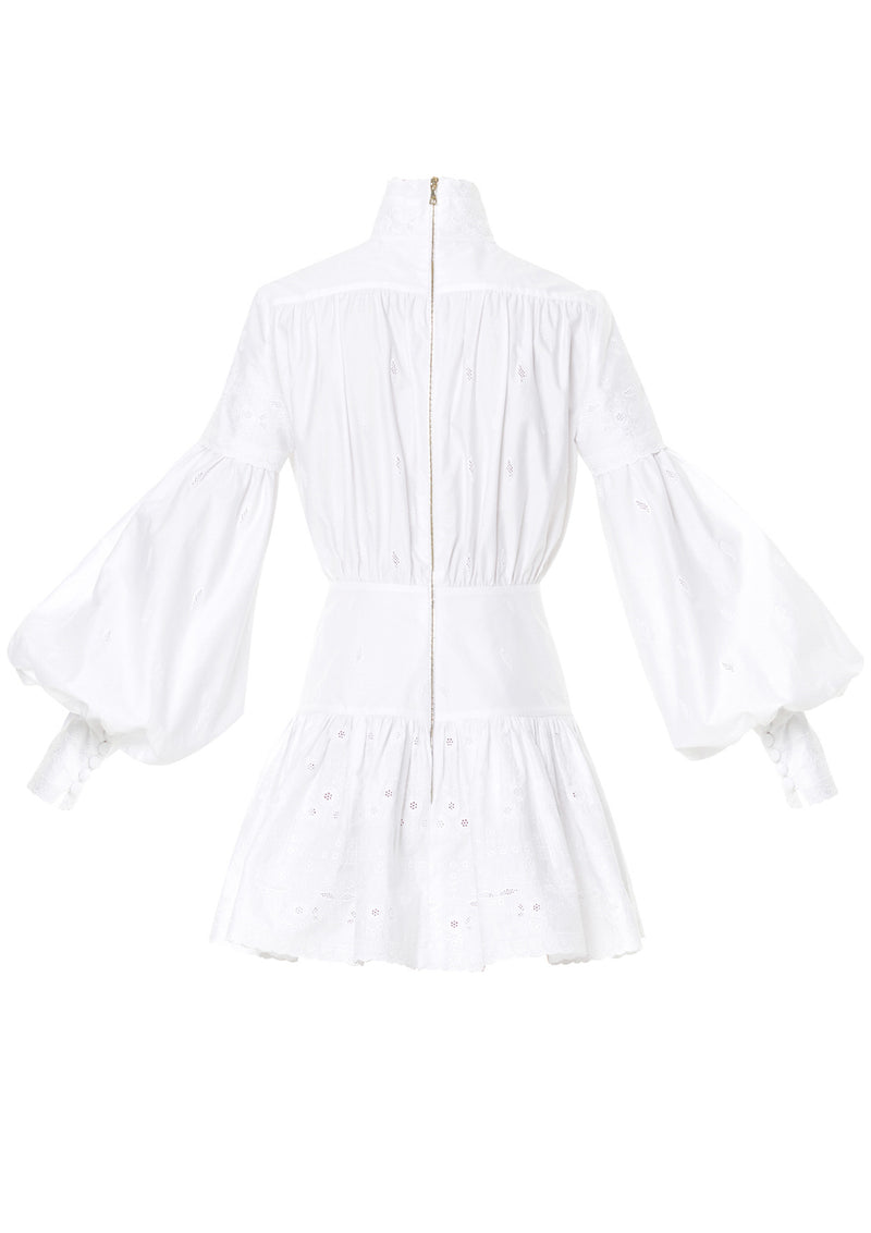 Astible Button-Down Long-Sleeve Mini Dress